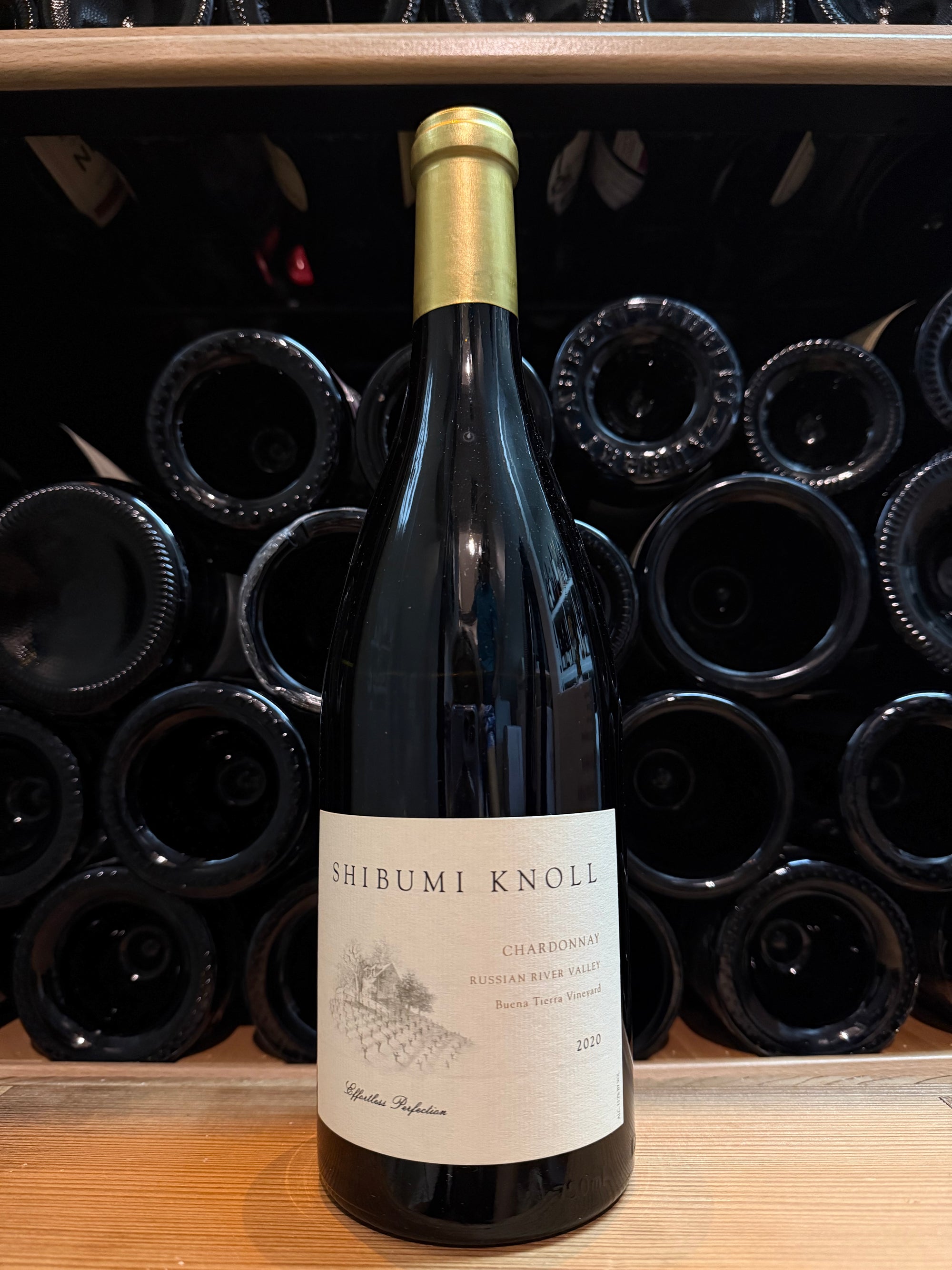 Shibumi Knoll Chardonnay Buena Terra Vineyard 2020